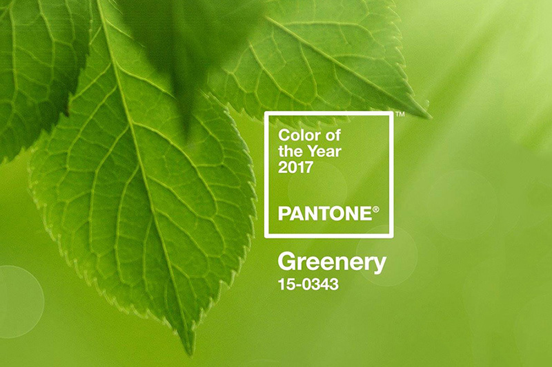 цвет года 2017 pantone