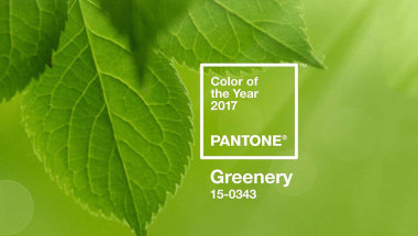Цвет года 2017 по версии Pantone